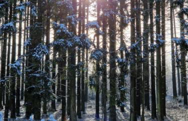 Ferienwohnung Kessler's Eifeldomizil - Foto 43