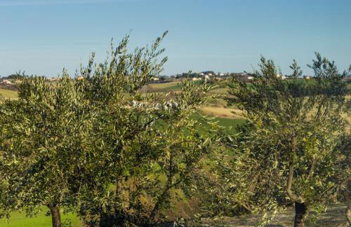 Villa Saltregna - Foto 11