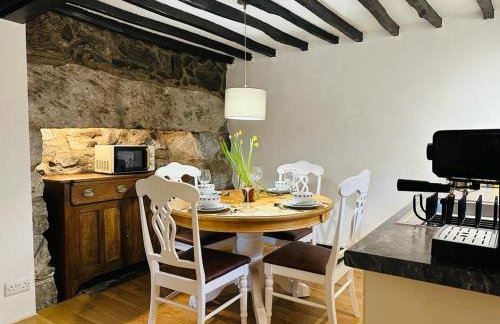 Trawsfynydd Stone Cottage - Foto 40