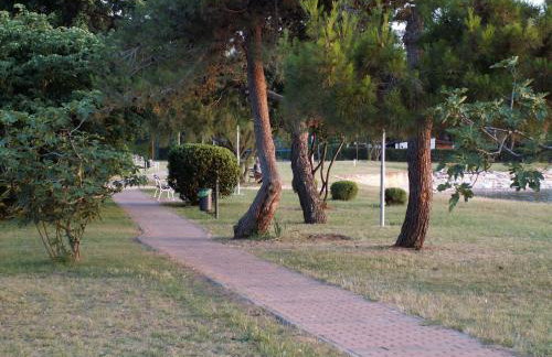 Apartment Alice - Photo 3