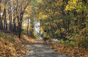 Apartament BESKIDLOVE - Foto 34