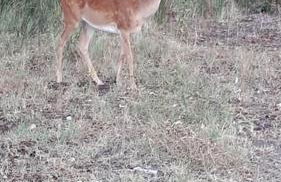 Villetta vicina alla spiaggia - Foto 26