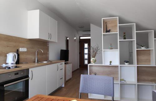 Apartman Anicic - Foto 21