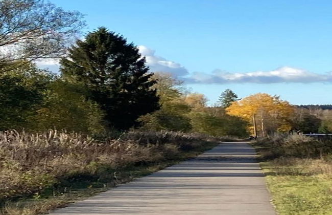 Beautiful Castle in Spa wit Garden - Photo 36