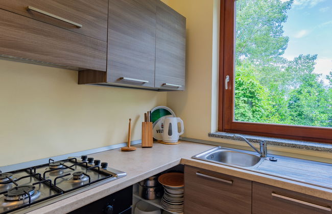 Vince (DOX200) - Photo 10