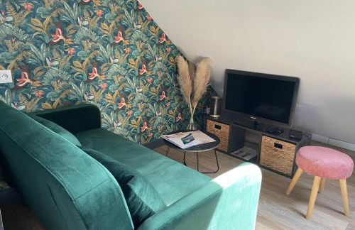 Appartement cosy 1 chambre Saint-Malo - Foto 7