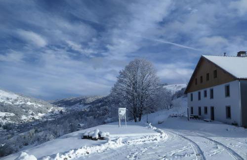 Gîtes de Moyenmont - Foto 47