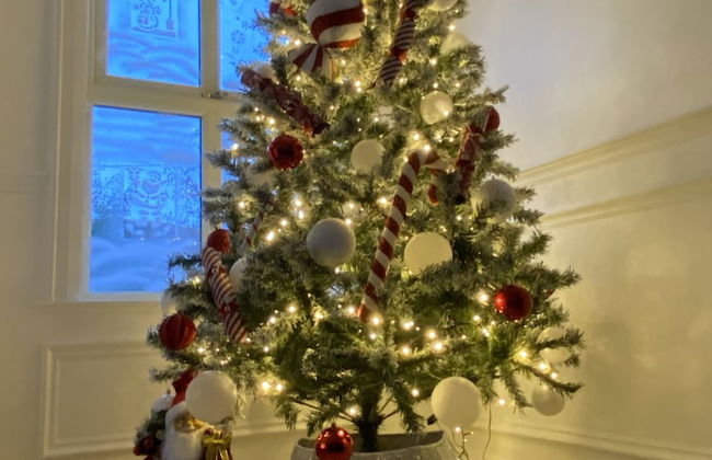 Rostrevor Valley Holiday Park- En-suite Rooms with Hot tub and Private Car Service - Foto 4