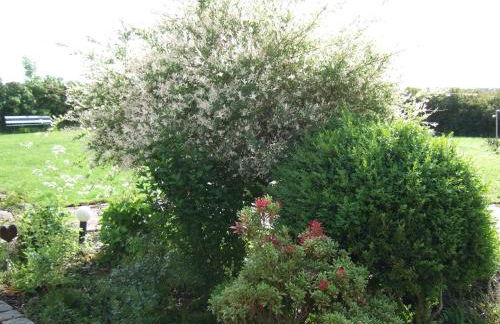 Luxus Chalet mit Terrasse, sehr ruhig in Kollmar - Foto 12