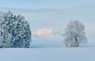 Ferienwohnung Ober - Foto 10