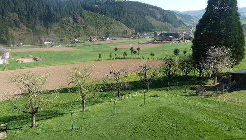 Lehmannshof Ferienwohnungen - Foto 5, Garden, Garden view