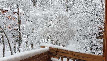 Chalet bois au milieu des Pyrénées - Foto 3