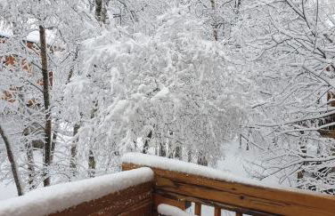 Chalet bois au milieu des Pyrénées - Foto 3