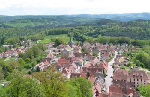 House in Vosges Near Lichtenberg Castle - Foto 45