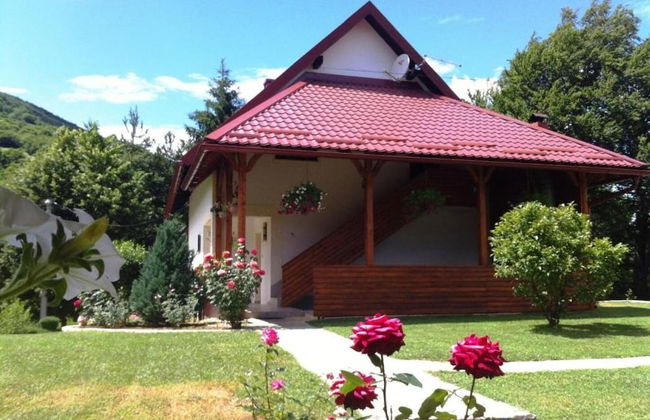 Dalija - Beautiful Nature and View - SA2 - Foto 20