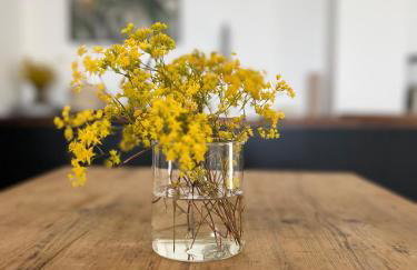 Sol MELBA Boutique Studios - Maslinica - Photo 29