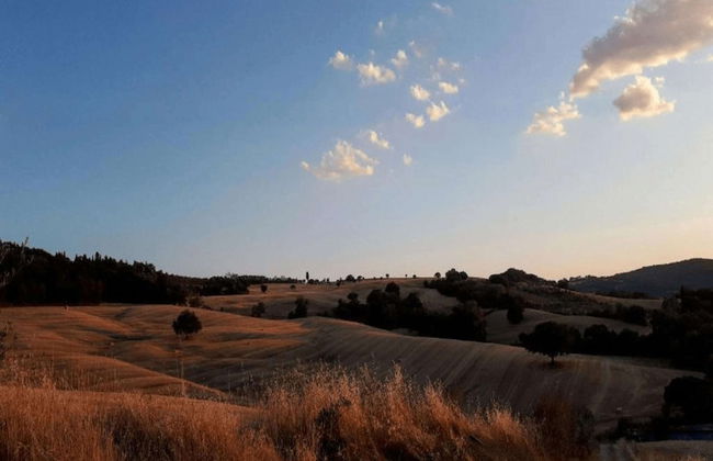 Peaceful Villa Stay in Tuscany - Foto 25