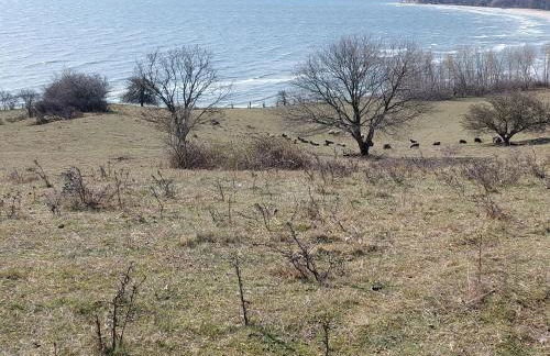 Traumblick und Komfort - lichtdurchflutete 85 qm Wohnung nahe Südstrand Göhren inklusive Schwimmbad und Sauna im AHOI Sellin - Foto 71