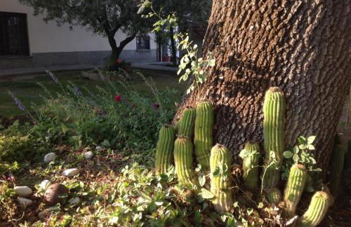 La Vecchia Quercia - Foto 37