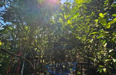 Um chalé e um riacho no meio da natureza - Foto 16