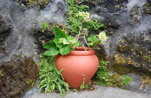 Casa do Terreiro - Photo 9