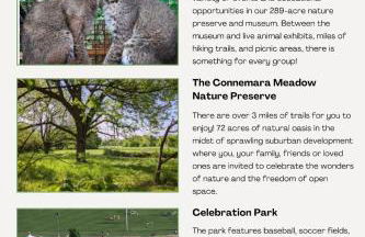 Stunning Newly Renovated 3BR 2B Home Hot Tub Game Room - Foto 61