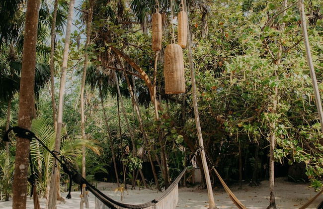 Spacious Apartment With Terrace and Rooftop Pool - Photo 56