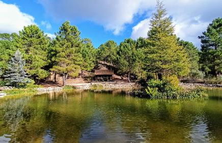 La cabaña del lago en ZAFIRO LAGUNAZO Parque Natural del Río Mundo - Foto 30