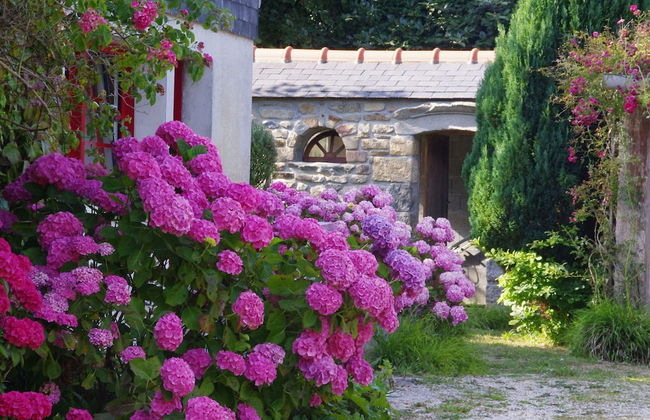 Breton Granite Stone House Near the sea - Photo 40