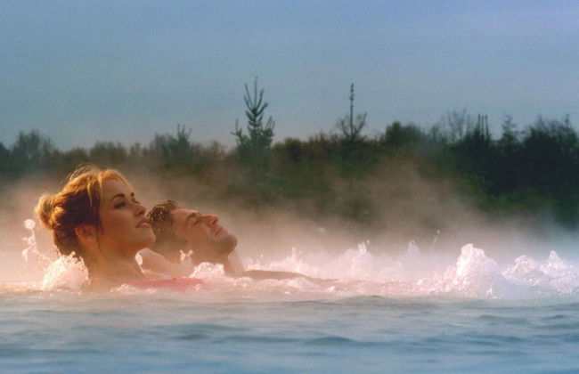 Luxurious Detached Villa With Washer, in De Maasduinen Area - Photo 24