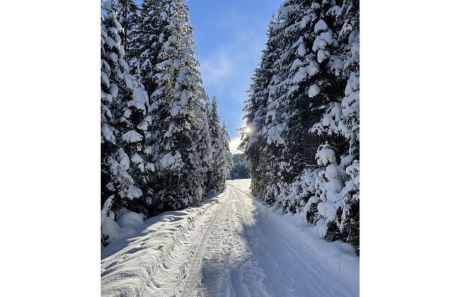 Holiday Apartment Alpengluhen - Foto 36