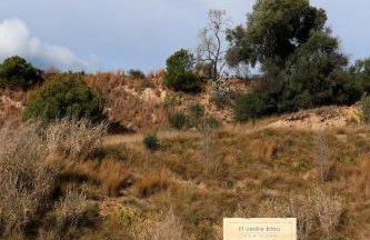 El Cedre Blau Vivienda con piscina en Granollers - Foto 67