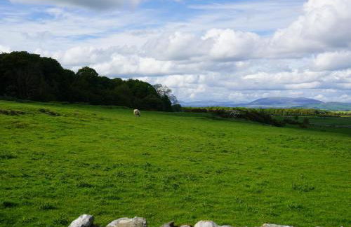 Roe Deer Lodge - Foto 28