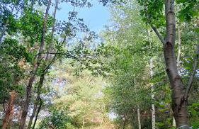 Biały Domek Nielbark - Agroturystyka - Foto 49