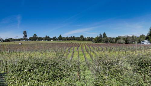 Red Barn Guest Cottage Wine Country Escape - Foto 4