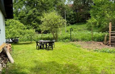 Zdzisiówka - Foto 51