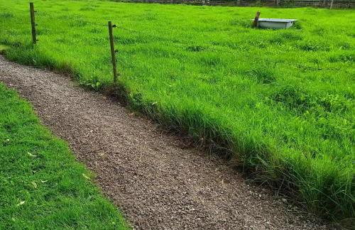 Norby Garden Westwärts - Photo 8