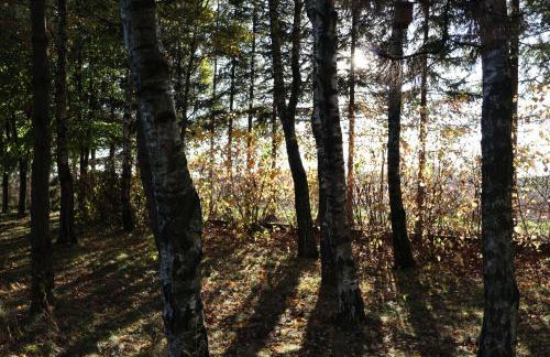 Rezydencja Pod Platanem - Photo 53