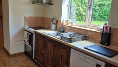 The Roaches - Foto 2