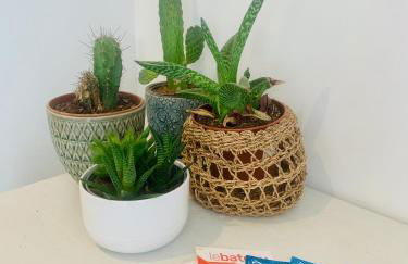 Un havre de paix marseillais - Foto 12