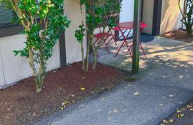 4-plex Apartment in Burien - Unit 1 - 7 min from Sea Tac Airport - 15 min from Downtown Seattle - Foto 11