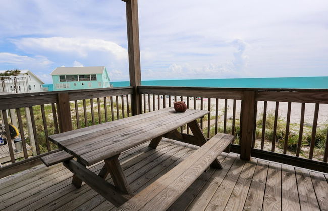 A Turtle View - Foto 52