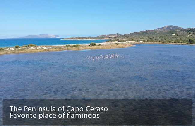 Capo Ceraso Family Residence - Photo 54