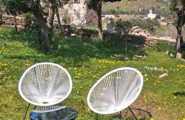 My Tinos Family Villa - Foto 14