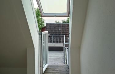 Finca Franca - Foto 3