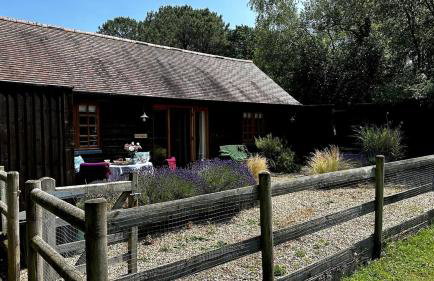 Cottage near Corfe & Jurassic Coast - Foto 16