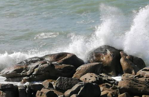 LES HAUTS VENTS - Foto 63