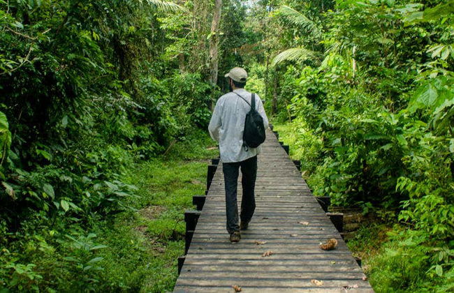 Senderismo por el Parque Natural Amacayacu - Foto 8