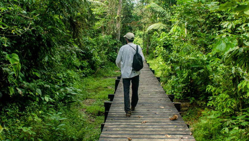 Trilha pelo Parque Natural Amacayacu
