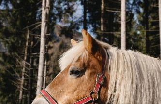 Agriturismo La Daga - Foto 55